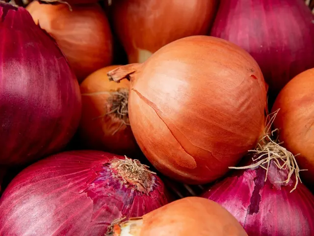 Golden & Red Onions
