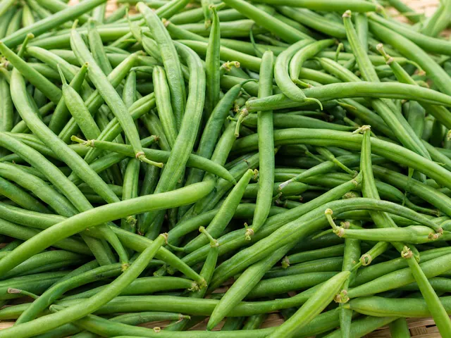 Green Beans