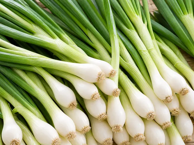 Spring Onions